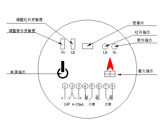 &#23436;&#32654;&#20307;&#32946;